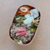 牛丼弁当